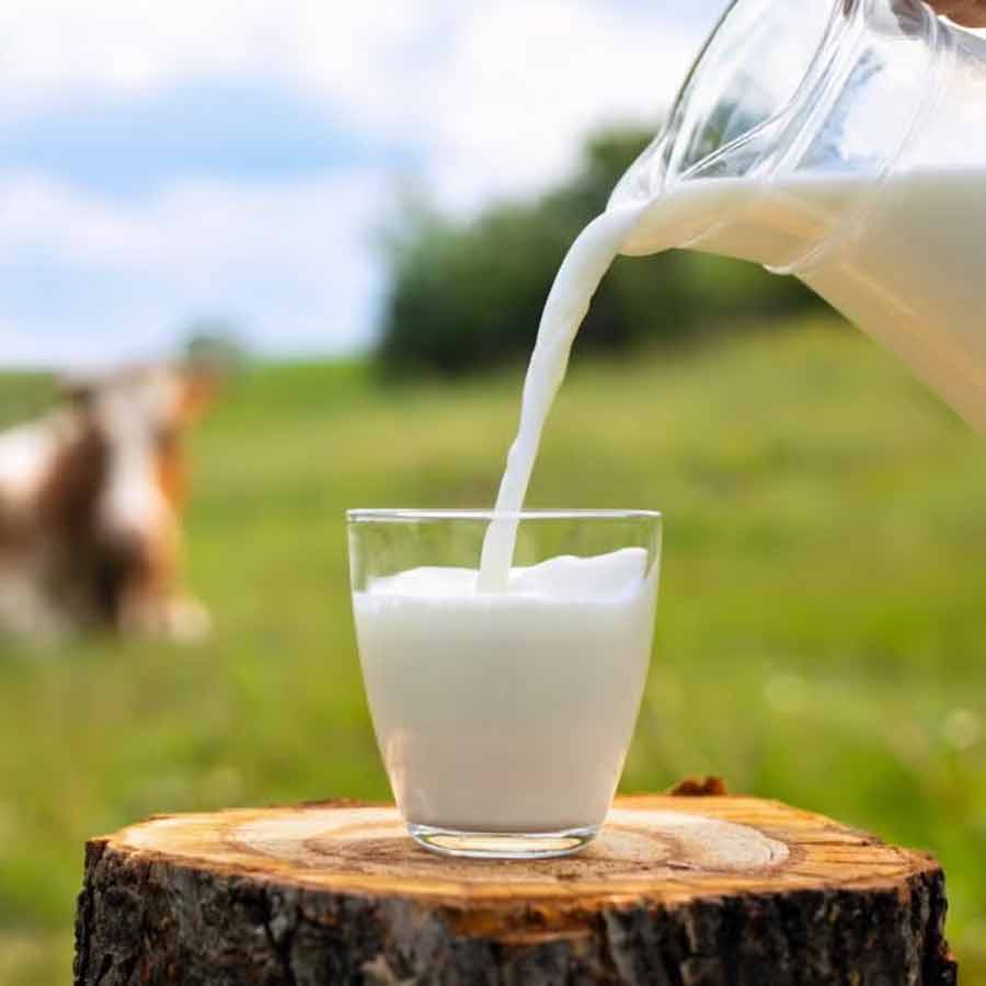 Having to face Donald Trump’s tariff, Swiss farmers find themselves with too much milk dgtl