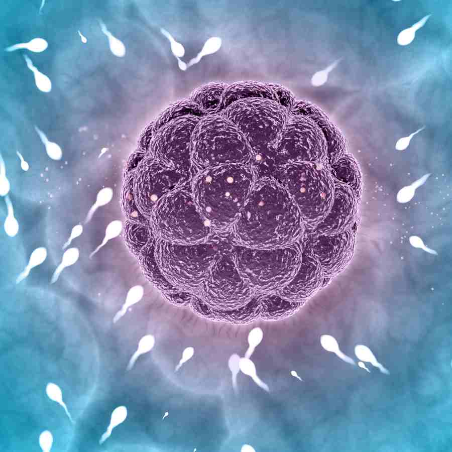 New research reveals common farm pesticides may be harming Male Fertility