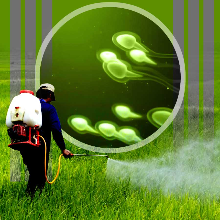New research reveals common farm pesticides may be harming Male Fertility