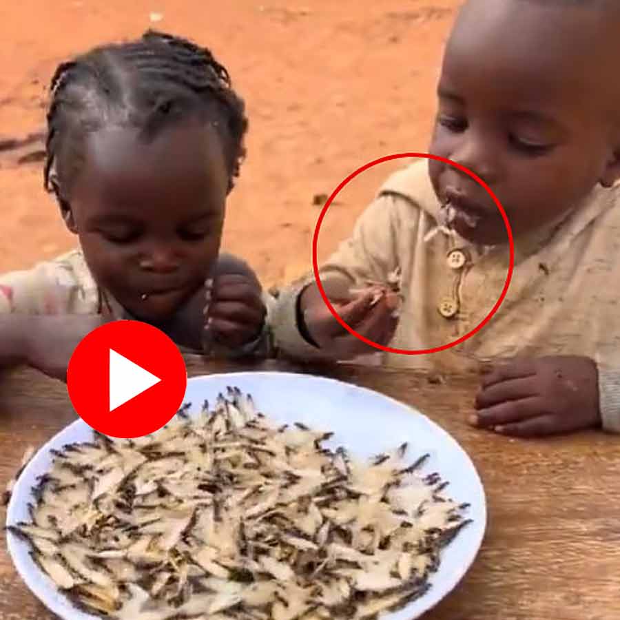children are eating live termites