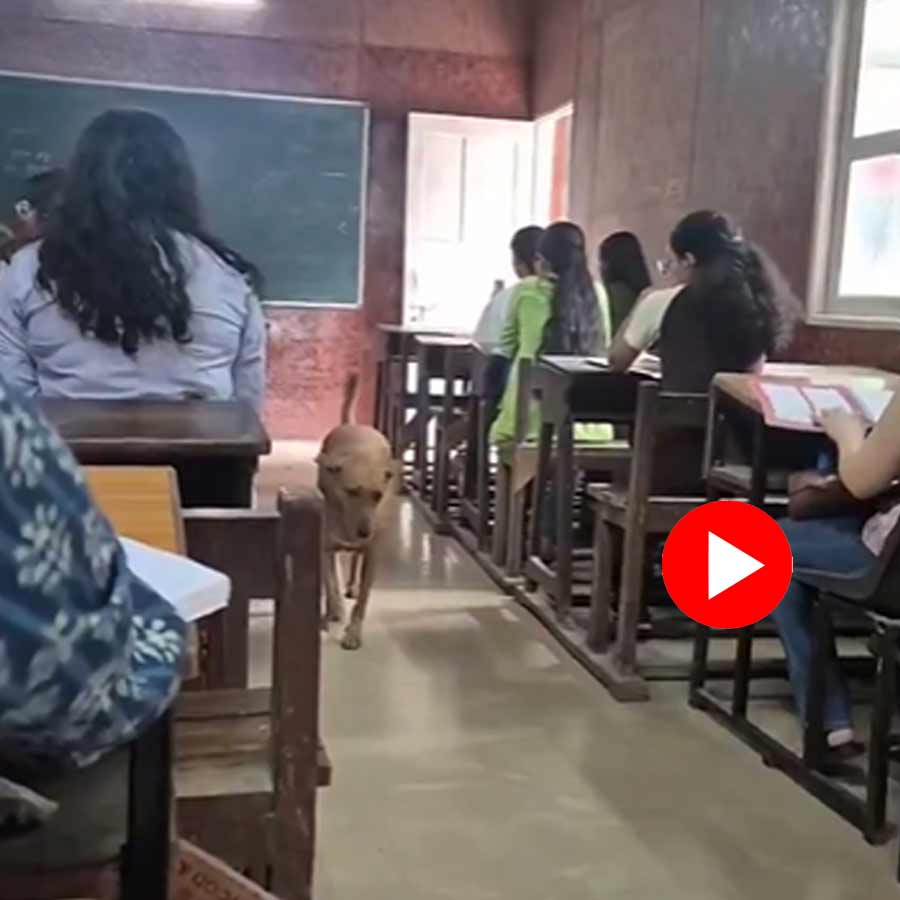 Video of dog walking inside classroom in Delhi college goes viral dgtl