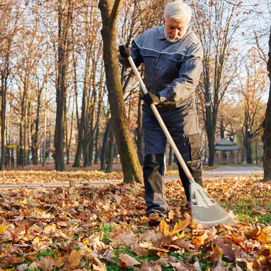 Japanese works as janitor