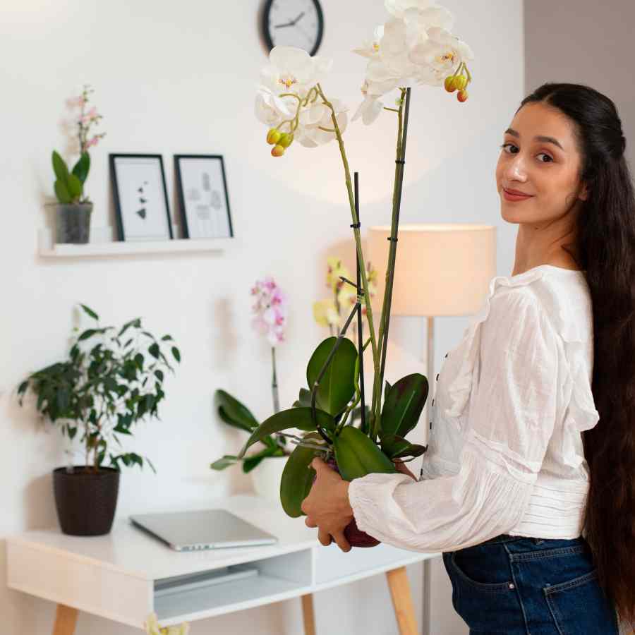 These are some indoor plants helps improve mental health and reduce stress