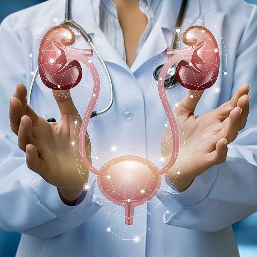 ‘মণিপাল ইনস্টিটিউট অফ নেফ্রোলজি এবং ইউরোলজি’ কিডনি-সংক্রান্ত সমস্যার জন্য সর্বাঙ্গীন চিকিৎসা প্রদান করে