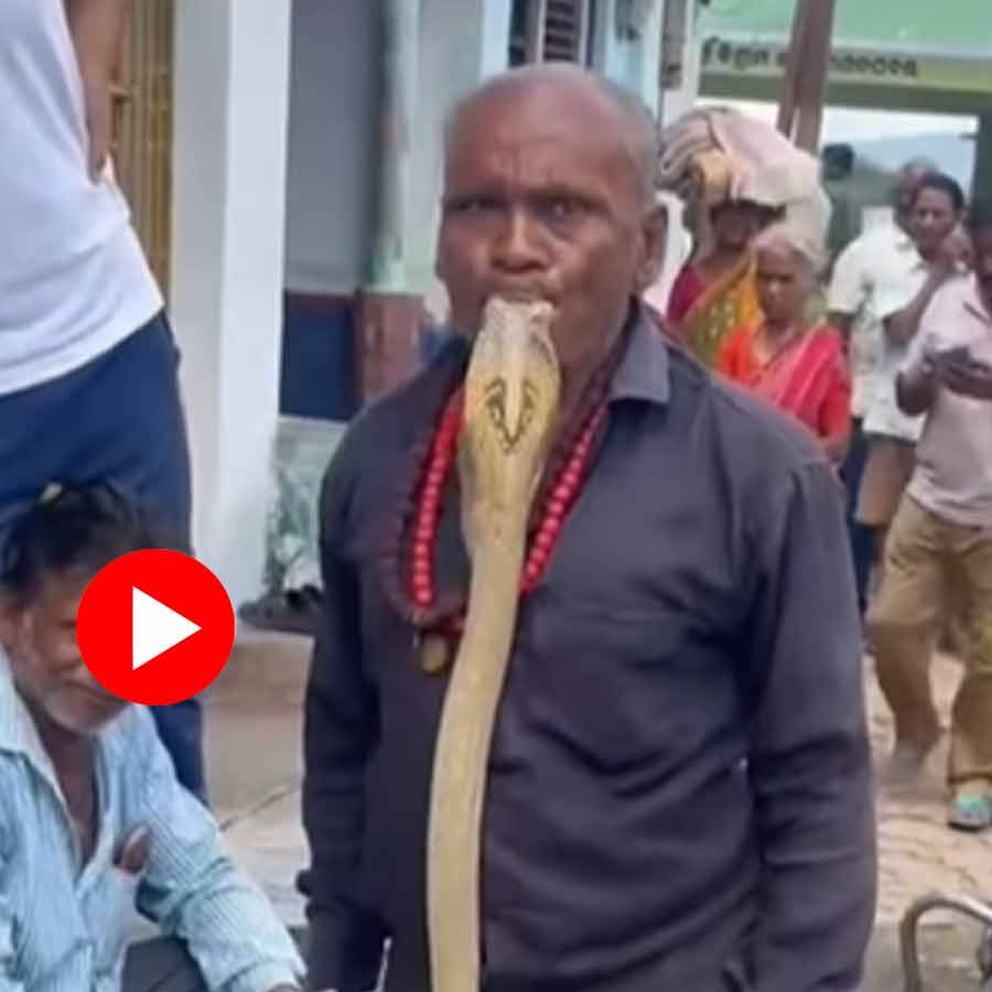 man trying to tame a snake