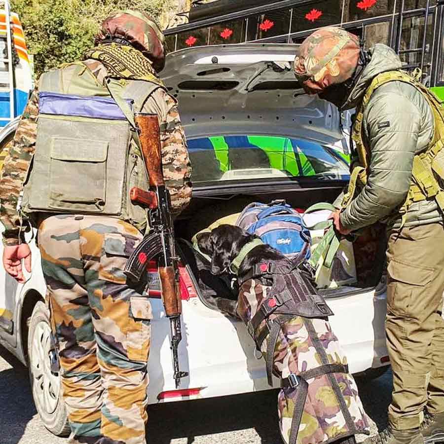 জম্মু-কাশ্মীরের ডোডা জেলায় তল্লাশি অভিযান। বুধবার।