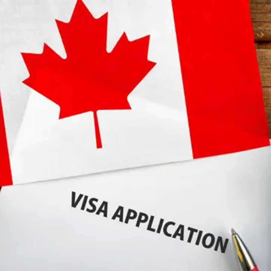 Donald Trump says Americans are not talented, takes U-turn on H-1B visa policy 