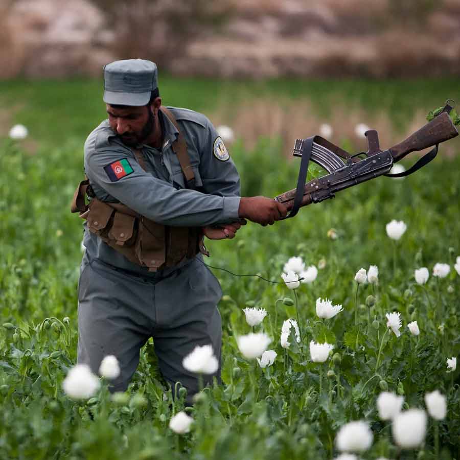 CIA once dropped modified poppy seeds to pull down heroin trade of Afghanistan