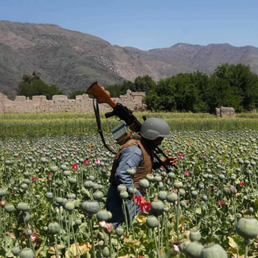 CIA once dropped modified poppy seeds to pull down heroin trade of Afghanistan
