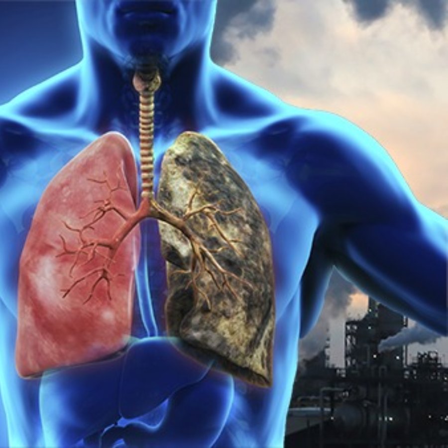 Homely age old ritual can save your lungs from immense air pollution dgtl