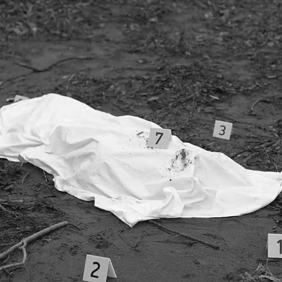 Gujarat Forest Officer Arrest