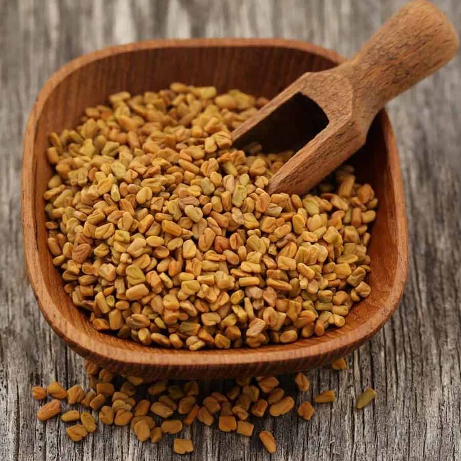 How chewing soaked methi every day helps prevent constipation and supports weight loss