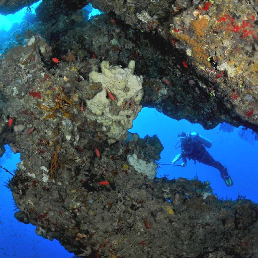 স্কুবা ডাইভিং সবচেয়ে ভাল উপায় সমুদ্রের তলদেশের জীবন প্রত্যক্ষ করার জন্য।