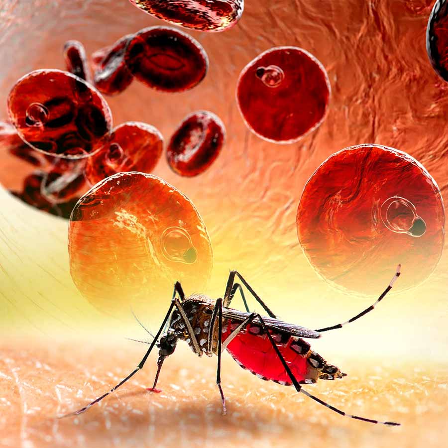 Promising results from a new malaria drug offer hope against emerging drug resistance