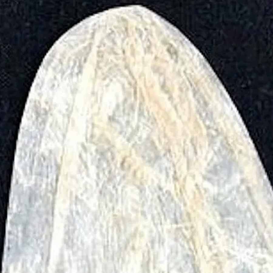 All need to know about world most expensive condom