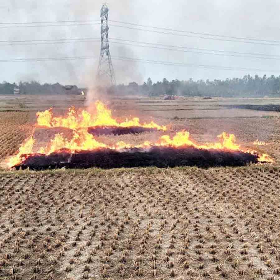 Pollution expected due to stubble burning at hooghly
