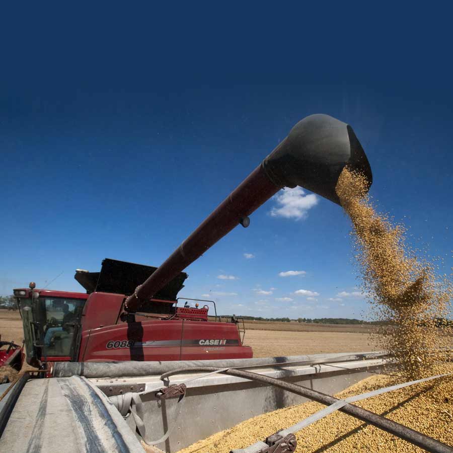 Pakistan spent 50 lakh dollars which is thrice of India for lobbying for Donald Trump