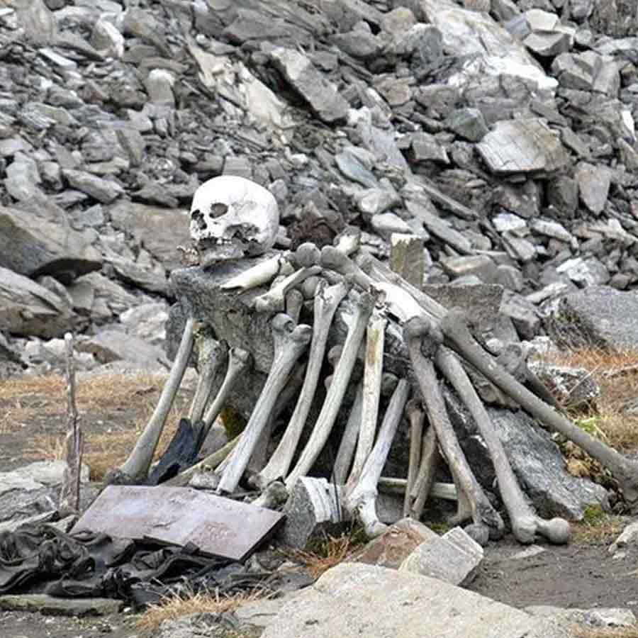 Timeline of notorious Nithari Serial Killings incident