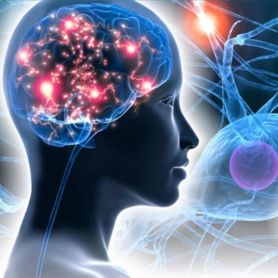 Timeline of notorious Nithari Serial Killings incident