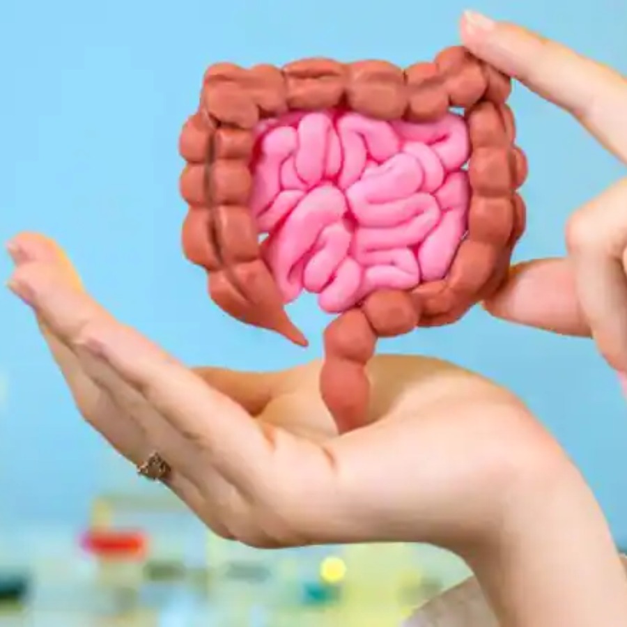 অন্ত্রের স্বাস্থ্য ভাল রাখতে কী খাবেন?