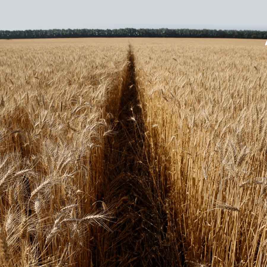 Ukraine failed to neutralized Soviet-Era Bombs of Russia, which may change war