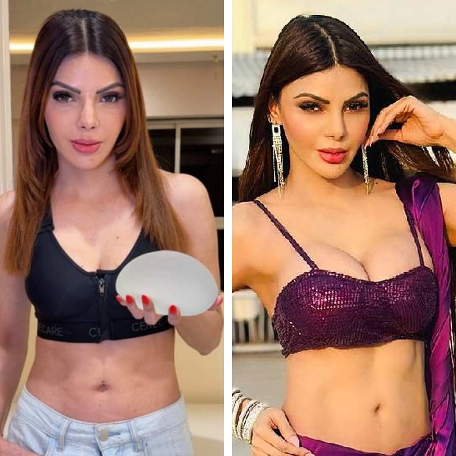 Sherlyn Chopra Stated she has done wrong thing doing breast Implants dgtl