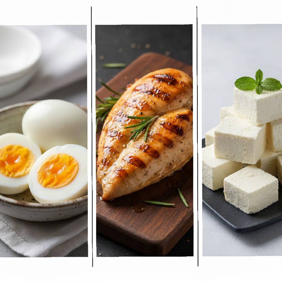 which protein is better egg, chicken or paneer for healthy life dgtl