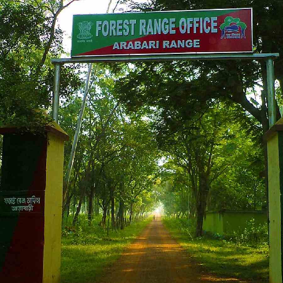 আরাবাড়ির জঙ্গল দেখতে চলুন মেদিনীপুর।
