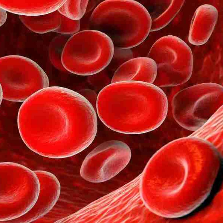 Serum Institute and CSIR signed a pact to produce affordable gene therapy for Sickle Cell Anemia disease
