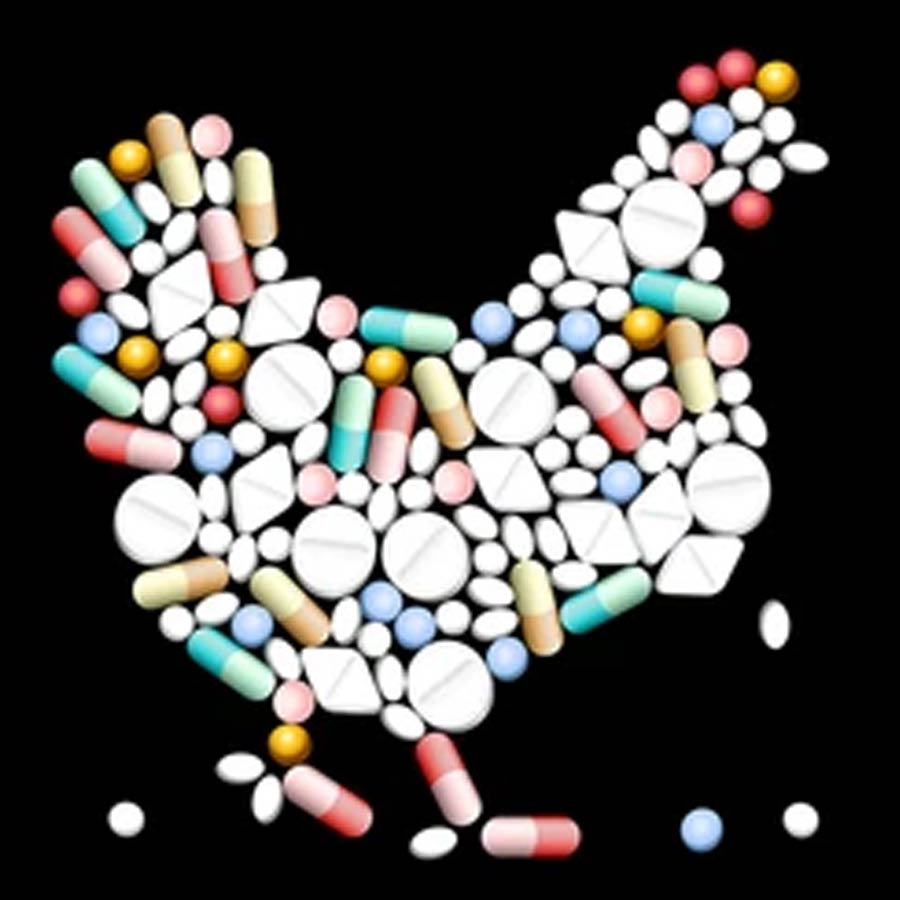 Why Ecuador Rejected the Comeback of US Forces Despite Escalating Narco Violence 