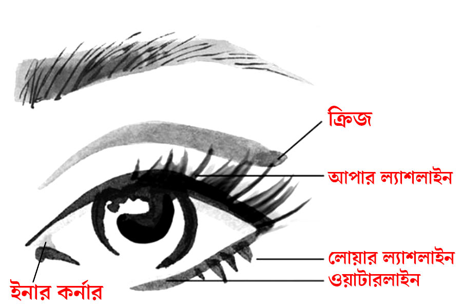 চোখের মেকআপ করার আগে জানা দরকার রূপটানের পরিভাষায় কোন অংশ কী নামে পরিচিত?
