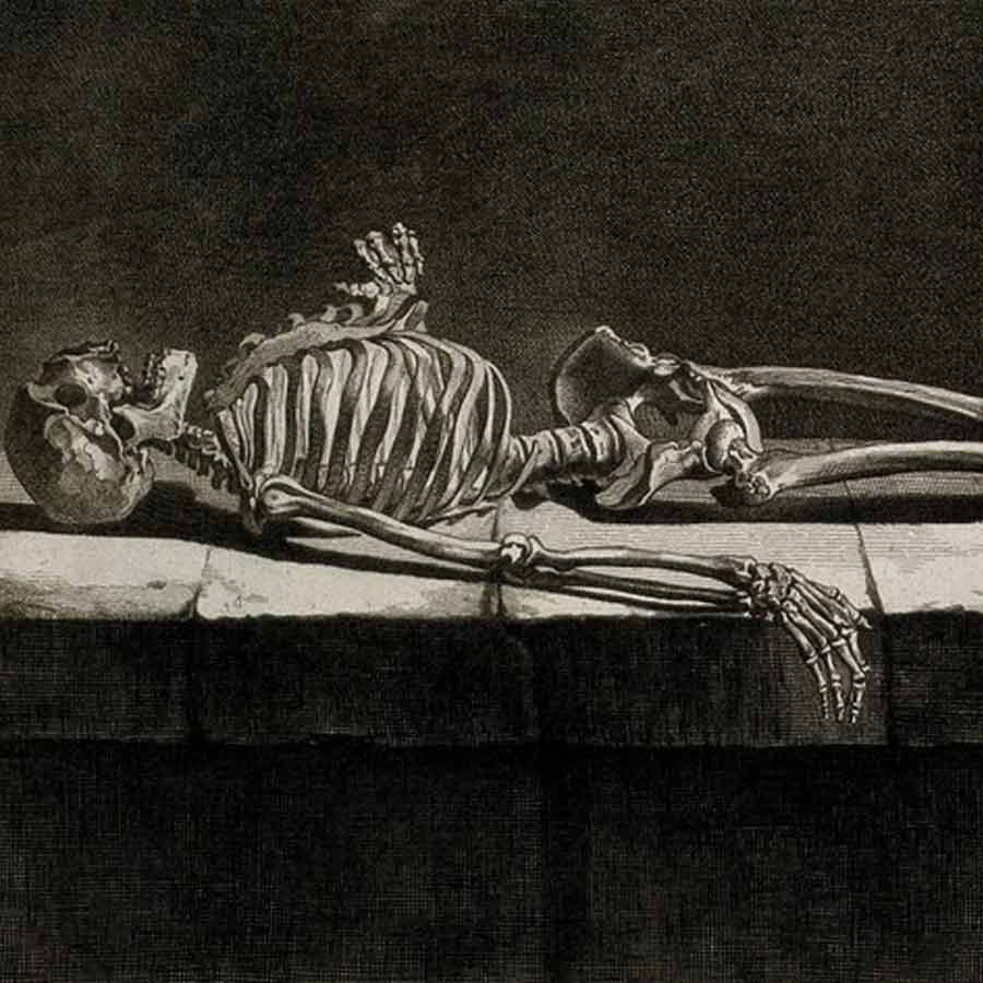 Bronze Age Egtved Girl