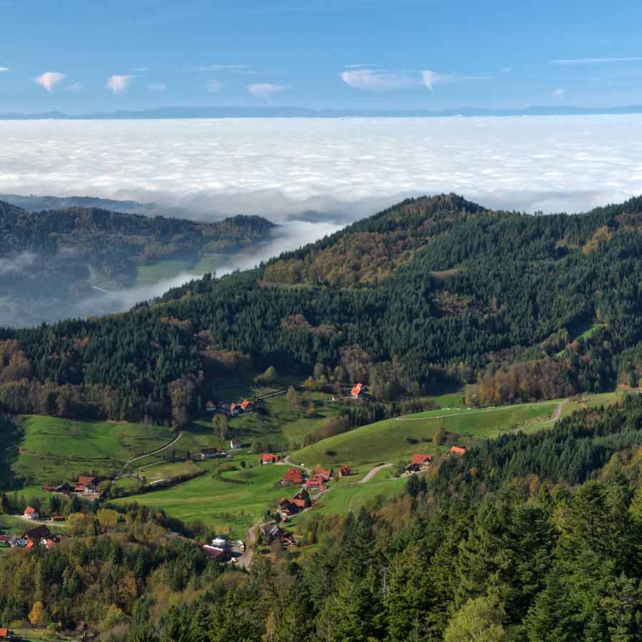 Bronze Age Egtved Girl
