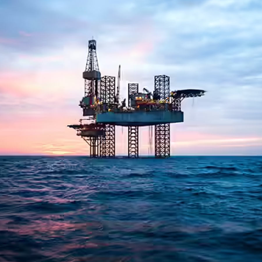 Reliance stops Russian crude