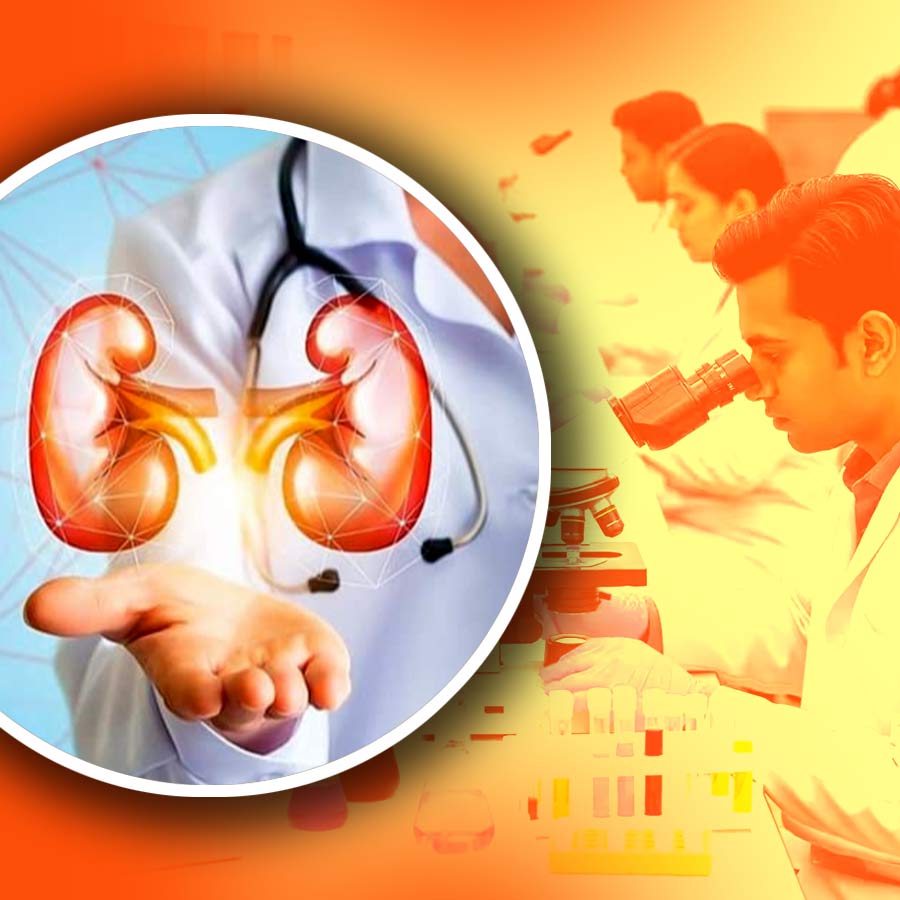 Paying close attention to your urine can help protect your kidney health