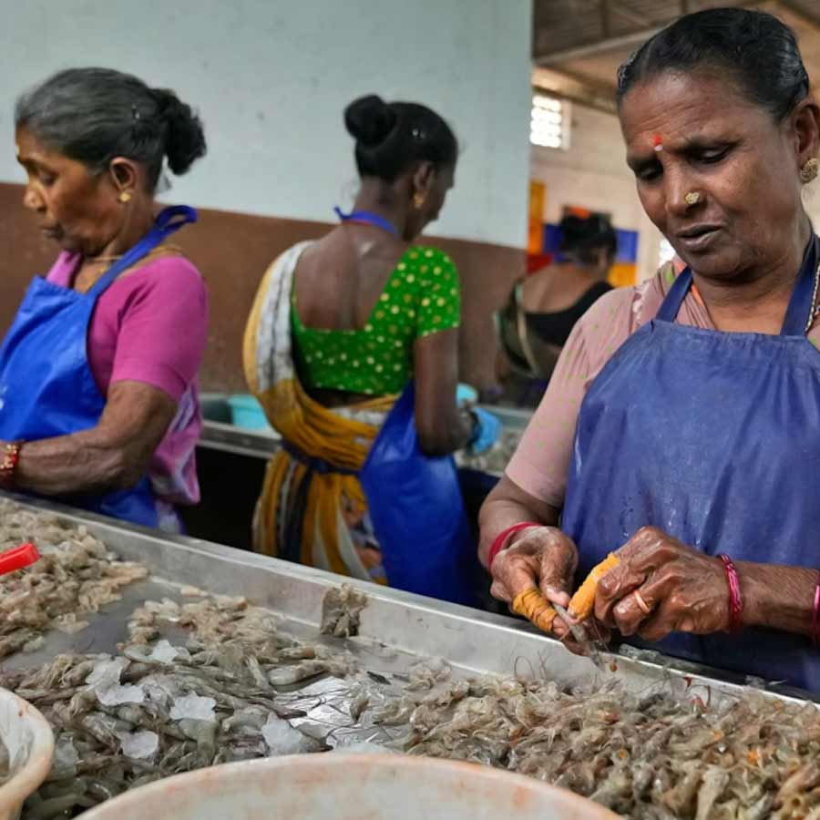 Indian seafood industry