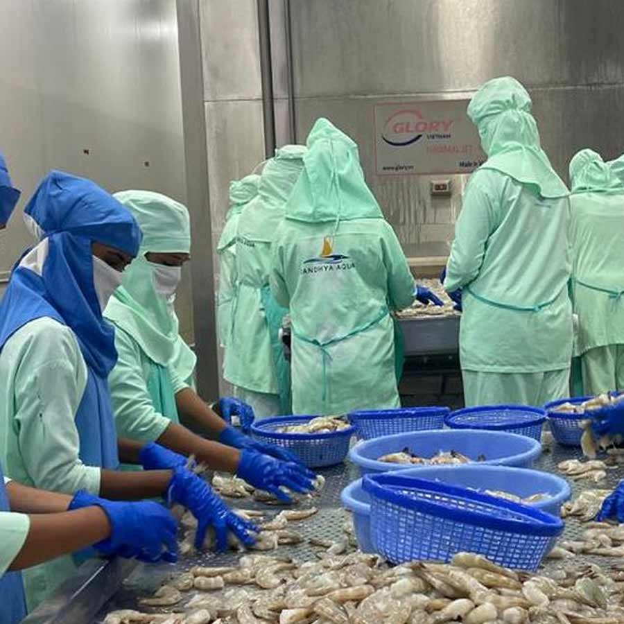 Indian seafood industry