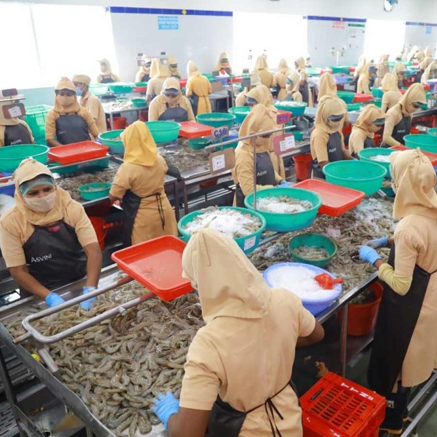 Indian seafood industry