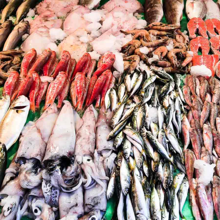 Indian seafood industry