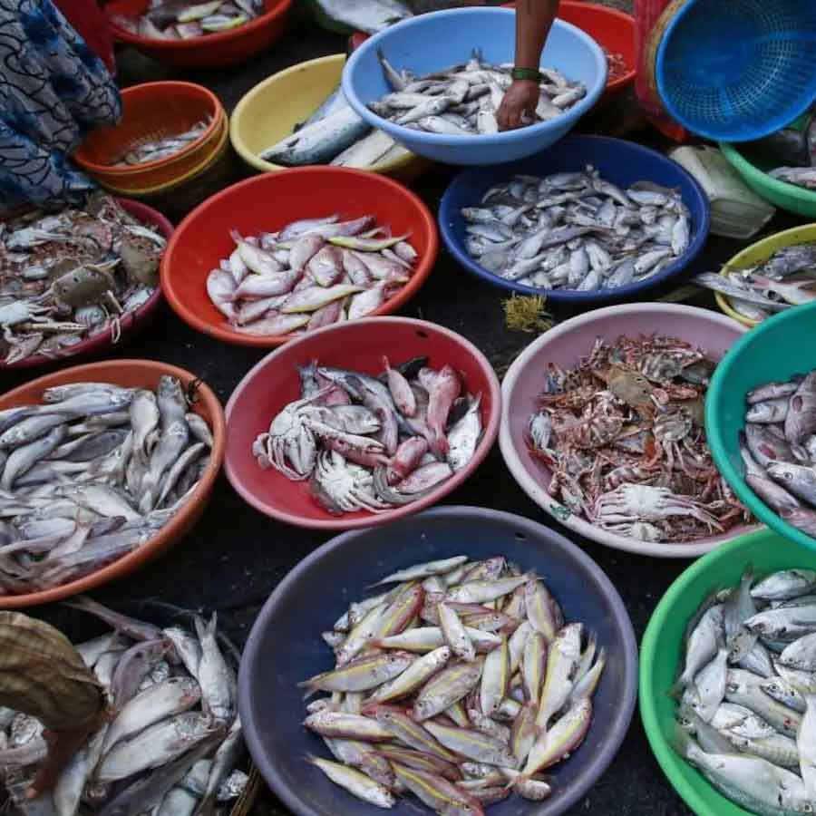 Indian seafood industry