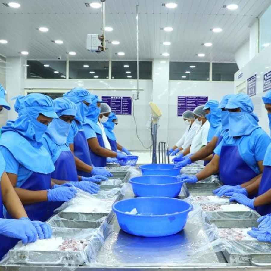 Indian seafood industry