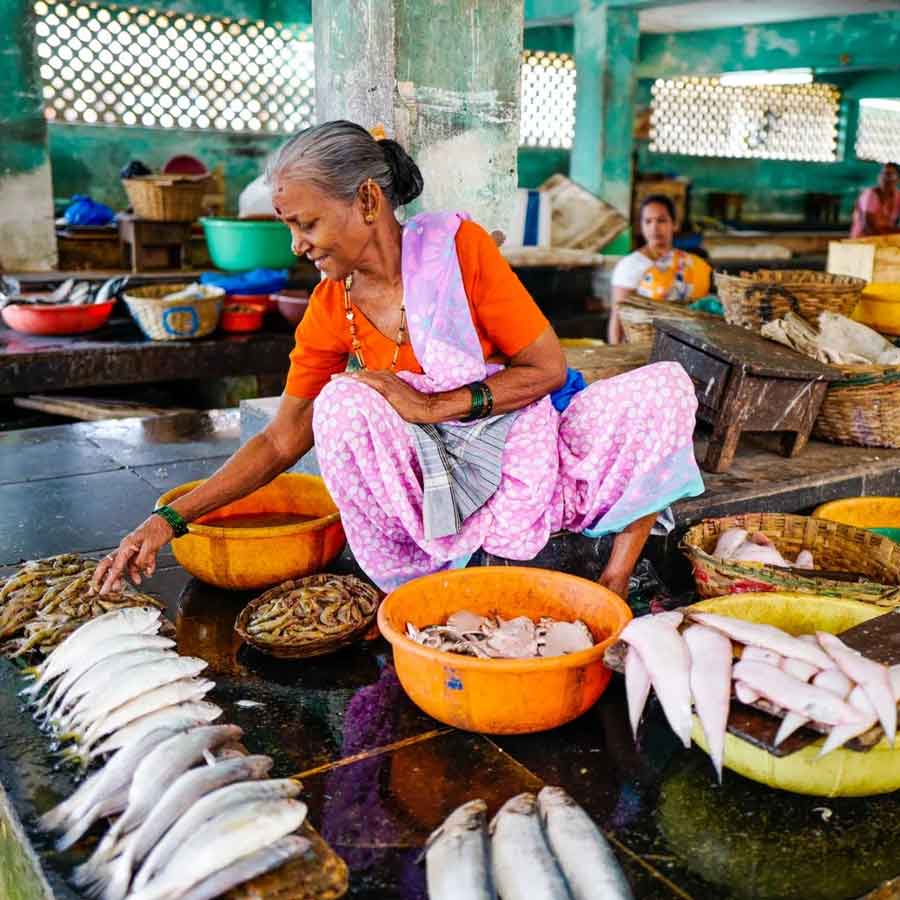 Indian seafood industry