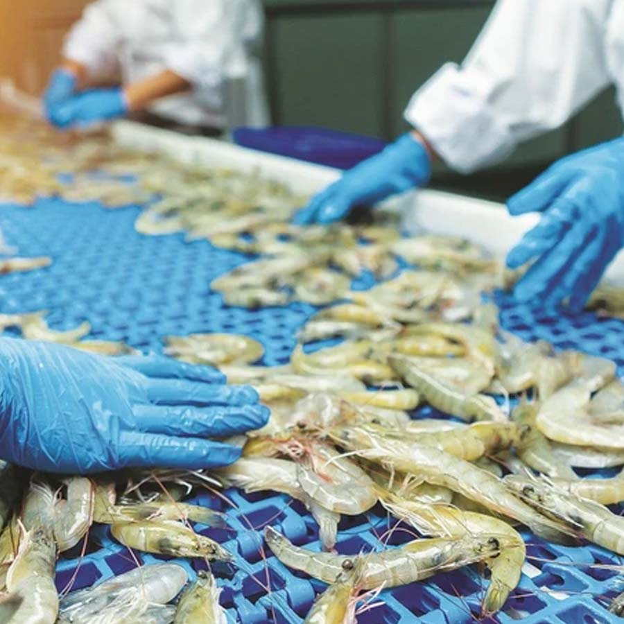 Indian seafood industry