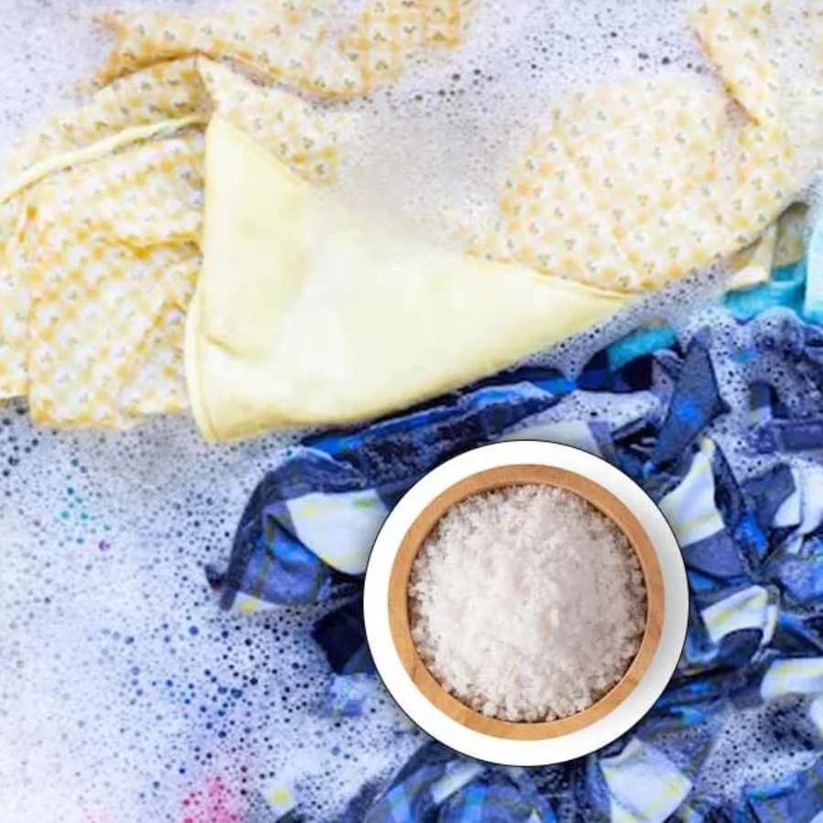 ছবি: সংগৃহীত।