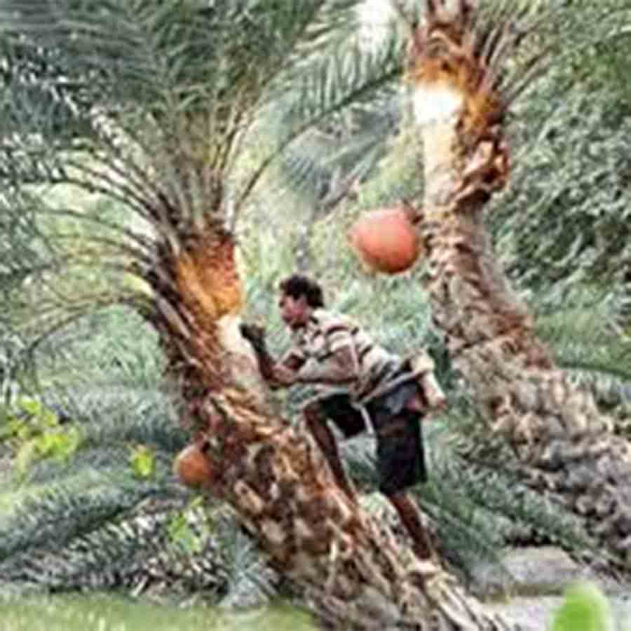 Awareness campaign at Mahisadal regarding security from Honey bee bite while collecting date juice