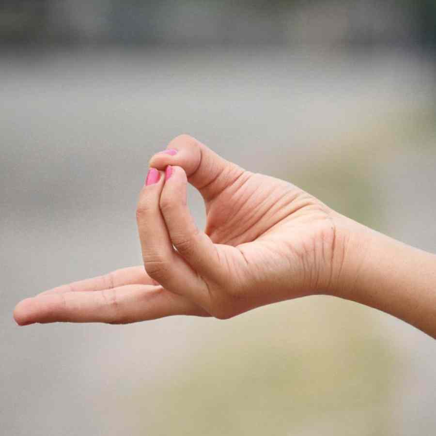 প্রাণ মুদ্রা।