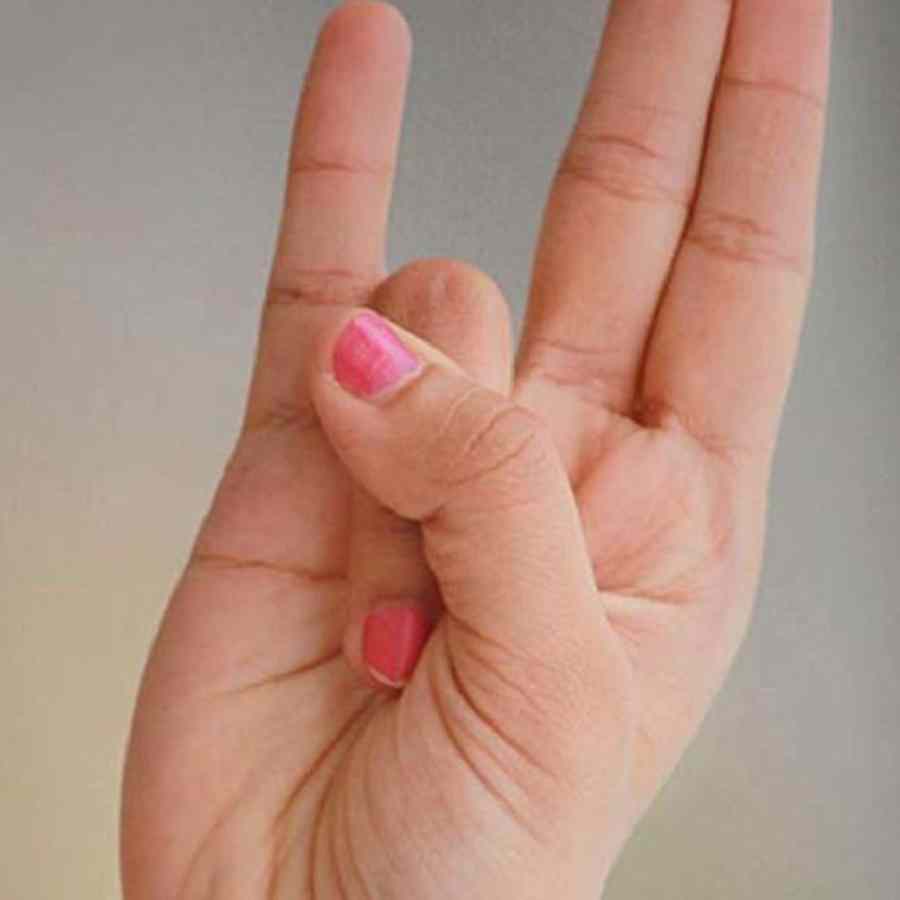 অগ্নি মুদ্রা।