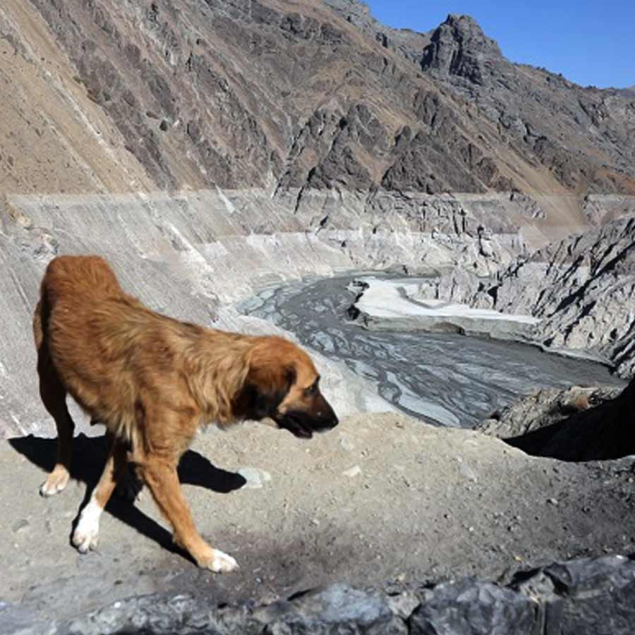 Iran may relocate its capital Tehran due to acute water crisis