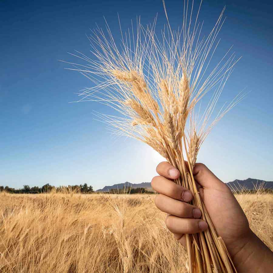 Donald Trump’s 28-point peace proposal for Russia-Ukraine ceasefire creates controversy