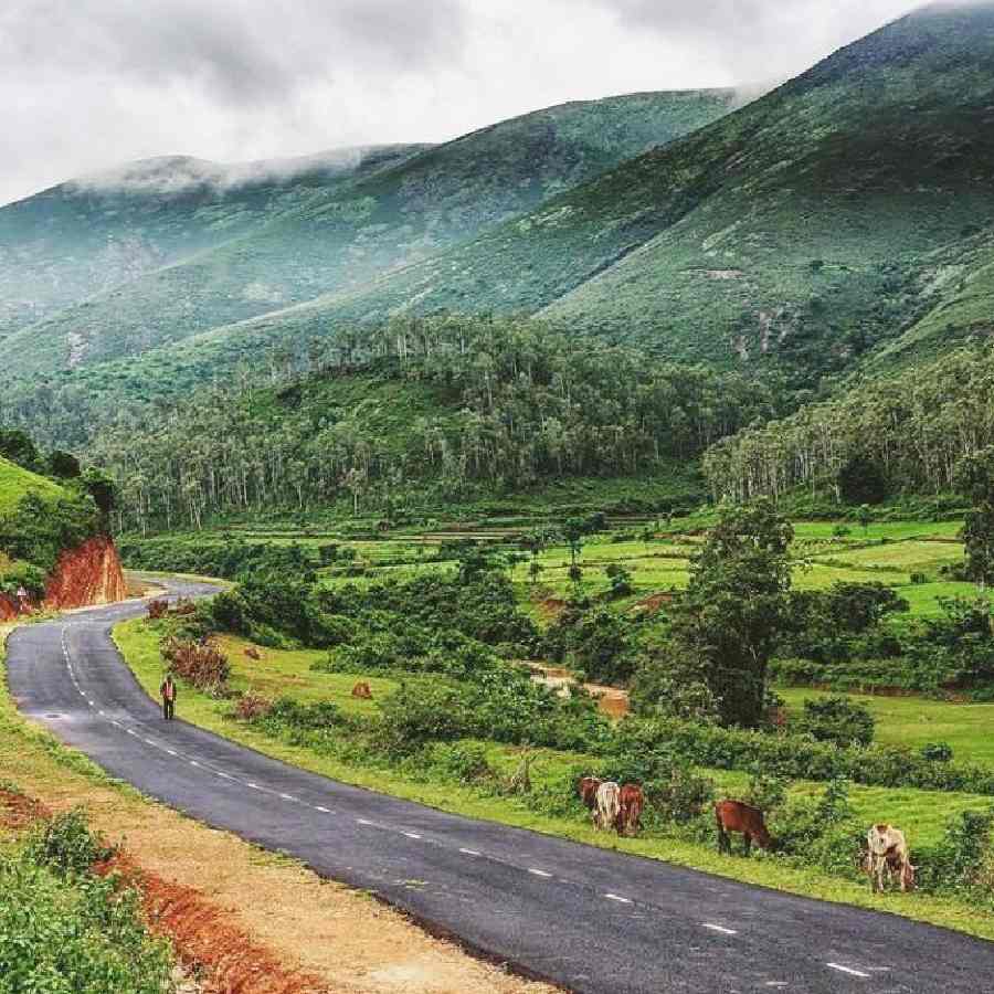 ঘুরে নিতে পারেন ওড়িশার নানা জায়গা। ছবিটি দেওমালি পাহাড়ের।